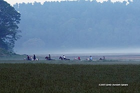 riding in the morning mist